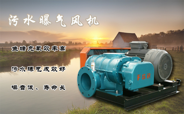 香蕉影视汙水曝氣羅茨風機(jī) 香蕉影视汙水曝氣羅茨風機