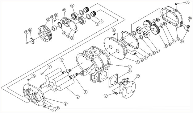 羅茨鼓風機結(jié)構圖 羅茨鼓風(fēng)機結構圖