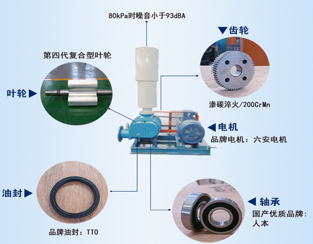 章丘香蕉影视機械羅茨鼓風機產品結構說明圖(tú) 章丘香蕉影视機械羅茨鼓風機產品(pǐn)結構說明圖