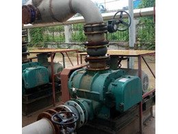 章丘（qiū）香蕉影视汙水曝氣羅茨風機用於瑞祥生物（wù）廠