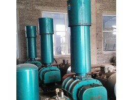 香蕉影视氣化羅茨風機用（yòng）於國電蓬萊發電廠運行成功