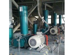 章丘香蕉影视汙水曝氣羅茨風機助力安徽國禎環保